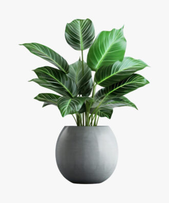 Deep Jungle Wukoku Tall Fake Plants