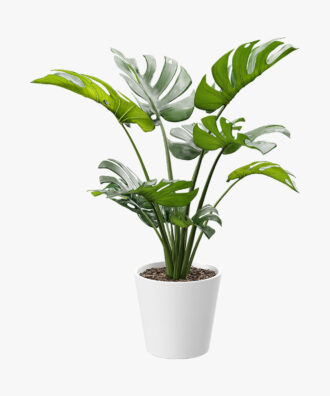 Tied Artificial Swiss Cheese Potted Plant